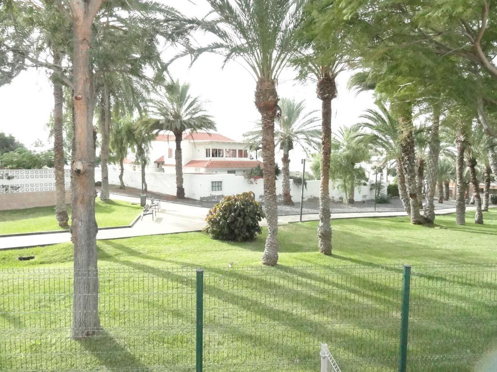 Apartment Virginia Playa de las Americas  Exterior foto